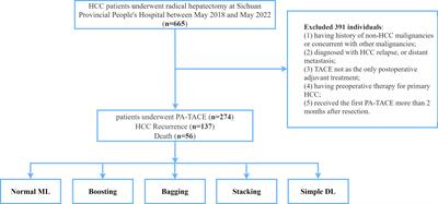 Development of ensemble learning models for prognosis of hepatocellular carcinoma patients underwent postoperative adjuvant transarterial chemoembolization